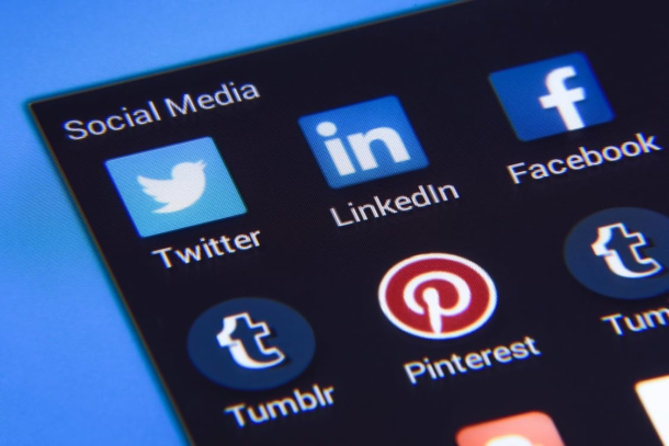 Freeze unregulated online political ads during the referendum campaign